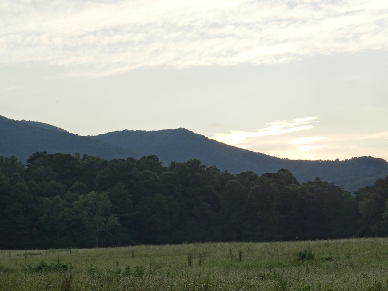 Illustration for article titled Smoky Mountain Trip!